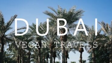 VIDEO: Vegan Travels: Dubai, March 2016