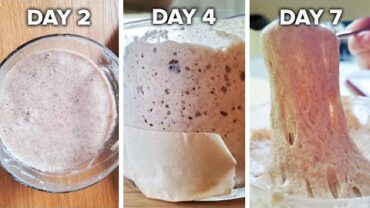 VIDEO: How To Make A Sourdough Starter From Scratch •  Tasty