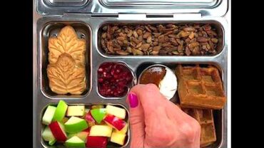 VIDEO: Fall School Lunch – Weelicious