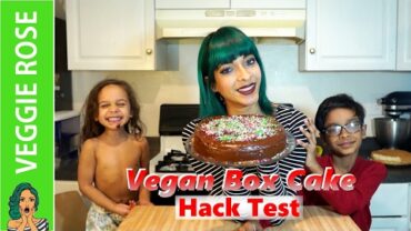 VIDEO: VEGAN Boxed Cake | HACK TEST #2