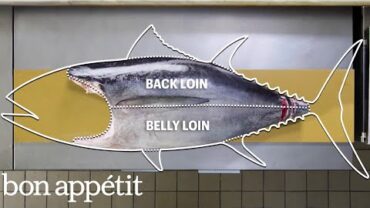 VIDEO: How To Butcher a Whole Tuna: Every Cut of Fish Explained | Handcrafted | Bon Appétit