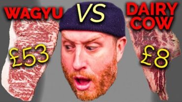 VIDEO: £53 Wagyu Steak Vs £8 Old Retired Dairy Cow | John Quilter