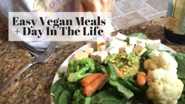 VIDEO: Quick Vegan Meals, Grocery Haul + Errands  | DITL