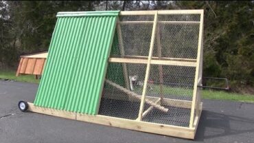 VIDEO: Perfect Portable Chicken Coop