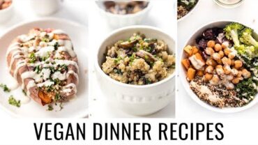 VIDEO: 3 EASY VEGAN DINNER RECIPES | all made with quinoa 💯