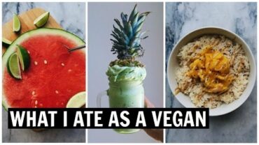 VIDEO: What I Eat In A Day + Recipes feat. YUMMY Mango Rice