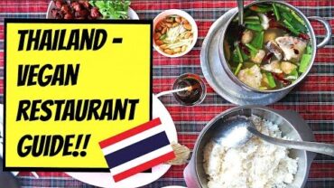 VIDEO: VEGAN RESTAURANT GUIDE IN THAILAND!! 🇹🇭🌱(BANGKOK, PHUKET, CHIANGRAI)