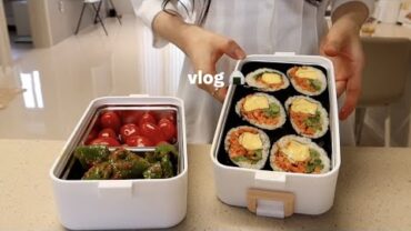 VIDEO: vlog | 자취생의 24시간 🍛 🍱  봄맞이 삼시세끼 집밥 만들어 먹기, 새콤달콤 과일청, 실패없는 파김치 레시피, 두릅 김밥 도시락 싸고 퇴근 후 초계국수, 쑥튀김 ❤️‍🔥