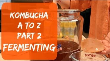 VIDEO: How To Make Kombucha At Home With The Homegrown Baby Scoby