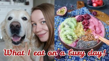 VIDEO: VEGAN WHAT I EAT ON A BUSY DAY