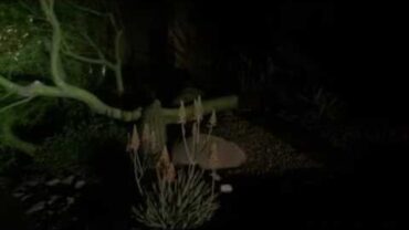 VIDEO: Wind Storm 3/30/17