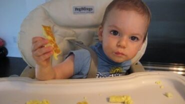 VIDEO: Quick Tip Recipe: How to Make a Microwave Cheese Omelette for Kids – Weelicious