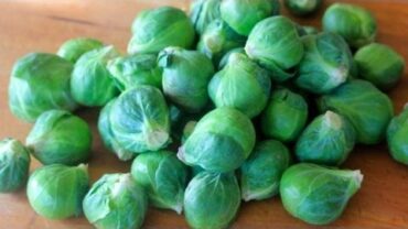 VIDEO: Brussel Sprouts 101 – How To Buy, Store, Prep & Cook Brussels Sprouts