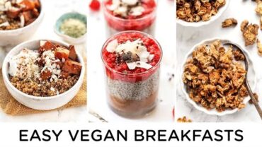 VIDEO: MEAL PREP VEGAN BREAKFAST RECIPS ‣‣ healthy make ahead meals