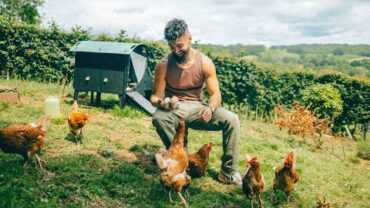 VIDEO: Why I Have Chickens 🐓🥚