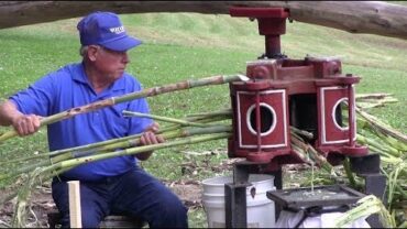 VIDEO: Old Time Sorghum Making