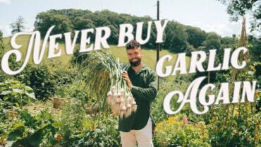 VIDEO: Never Buying Garlic or Getting SICK again