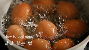 VIDEO: 🥚 달걀 삶는 법의 정석을 알려드립니다. │ 달걀 맛있게 삶는 법 │ 꿀팁