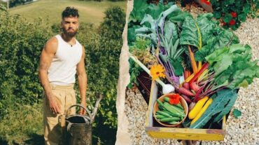 VIDEO: My Lockdown Garden Now Producing 80% Of My Groceries