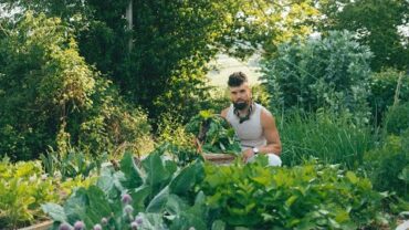 VIDEO: How I Started My Garden For Self Sufficiency | 2 Year Journey