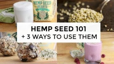 VIDEO: Hemp Seed 101 | Everything You Need To Know