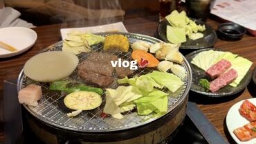 VIDEO: 여행 브이로그 | 먹방이 되어버린 후쿠오카 여행.. 🥩일본 라멘, 오마카세, 숯불 화로구이, 함바그, 돈까스카레, 쫀득했던 모찌 디저트🍡🍥🍮