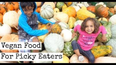 VIDEO: Vegan Food for Picky Eaters | Vegan Food for kids