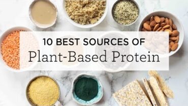 VIDEO: 10 BEST Plant-Based Protein Sources (+ a FREE printable!)