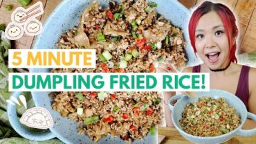 VIDEO: VEGAN DUMPLING FRIED RICE (VIRAL 5 MINUTE RECIPE)