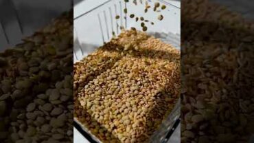 VIDEO: Baked Farro with Lentils, Tomato and Mozzarella – Weelicious