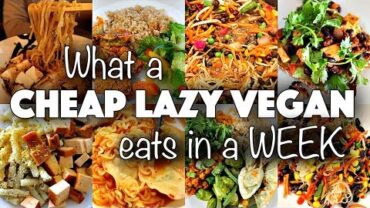 VIDEO: What I Ate in a WEEK as a CHEAP LAZY VEGAN #2