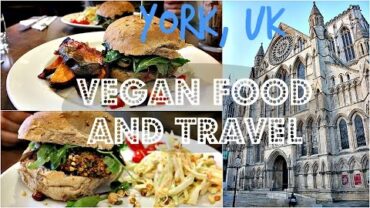 VIDEO: VEGAN FOOD + TRAVEL VLOG (York, UK) ♥ Cheap Lazy Vegan