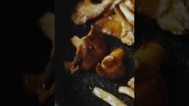 VIDEO: Chanterelle Toast for Chanterelle Season #vegan