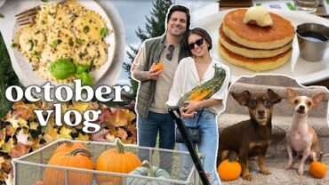 VIDEO: a festive fall weekend 😊 (pumpkin picking, recipe testing + exploring portland)