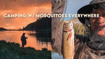 VIDEO: Catching Fish, Cooking, & Camping with Mosquitoes Everywhere In The Rain