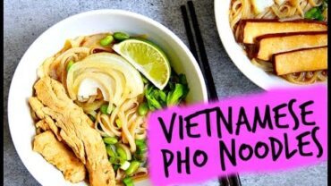 VIDEO: QUICK & EASY VEGAN VIETNAMESE PHO NOODLES!!