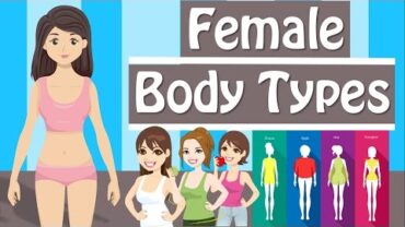 VIDEO: Female Body Types And Body Shapes  Different Body Types Women Have