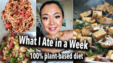 VIDEO: WHAT I ATE IN A WEEK (7 DAYS OF VEGAN FOOD) // easy vegan recipes