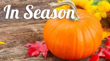 VIDEO: 3 Delicious Pumpkin Recipes | In Season