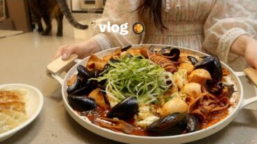 VIDEO: vlog | 야식으로 매콤한 해물떡볶이와 🥟 바삭한 군만두, 비빔냉면, 삼겹 쌈장 볶음밥 만들고 도시락 싸는 일상