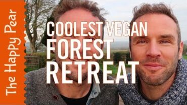 VIDEO: THE COOLEST VEGAN FOREST RETREAT EVER! | THE HAPPY PEAR