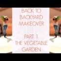 VIDEO: IT’S BEEN A WHILE, BUT I AM BACK TO GARDENING – GROWING A VEGETABLE GARDEN IN ARIZONA