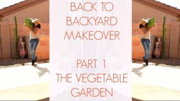 VIDEO: IT’S BEEN A WHILE, BUT I AM BACK TO GARDENING – GROWING A VEGETABLE GARDEN IN ARIZONA