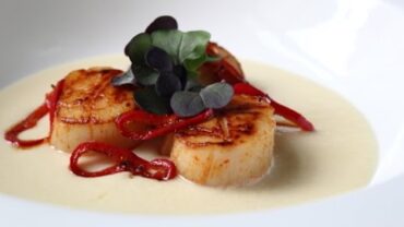 VIDEO: Seared Scallops on Fresh Corn Cream – Easy Summer Scallop Recipe