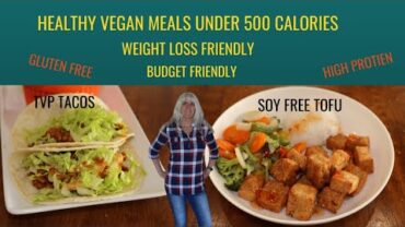 VIDEO: HEALTHY VEGAN MEALS UNDER 500 CALORIES/HIGH PROTEIN