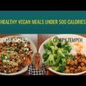 VIDEO: Healthy Vegan Meals Under 500 Calories / Easy To Make