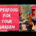 VIDEO: Coffee Grounds, Eggshells, Banana & Avocado Peels For The Garden As Organic Fertilizer