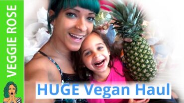 VIDEO: HUGE Vegan Grocery Haul