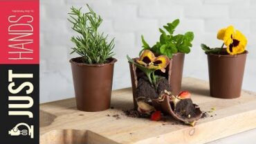 VIDEO: Chocolate flower pots | Akis Petretzikis