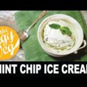 VIDEO: Vegan Recipe: Mint Chocolate Chip Ice Cream | The Edgy Veg